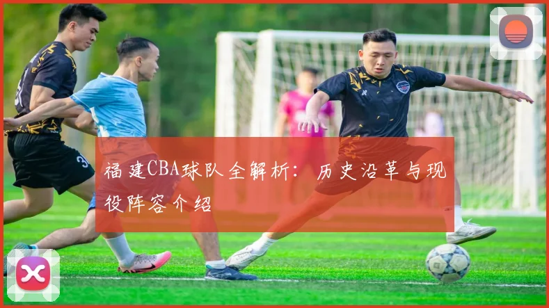 福建CBA球队全解析：历史沿革与现役阵容介绍