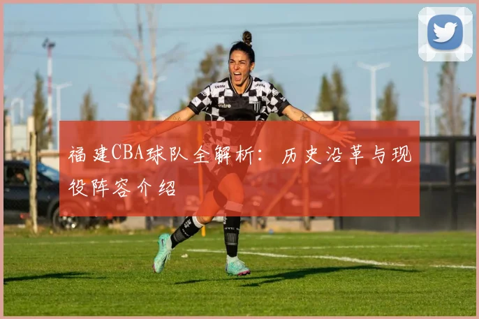 福建CBA球队全解析：历史沿革与现役阵容介绍